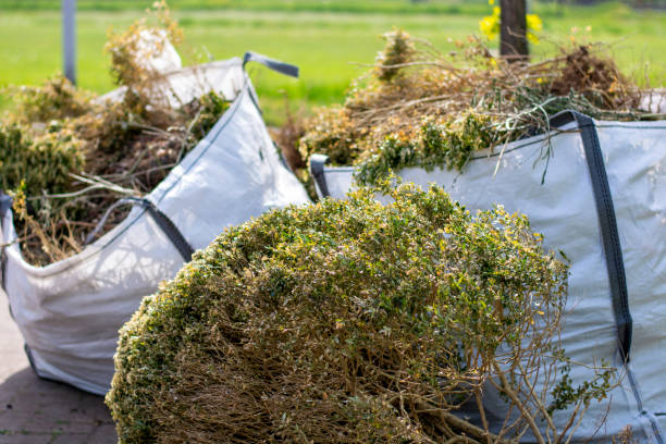 Best Junk Removal Near Me  in Shamokin Dam, PA